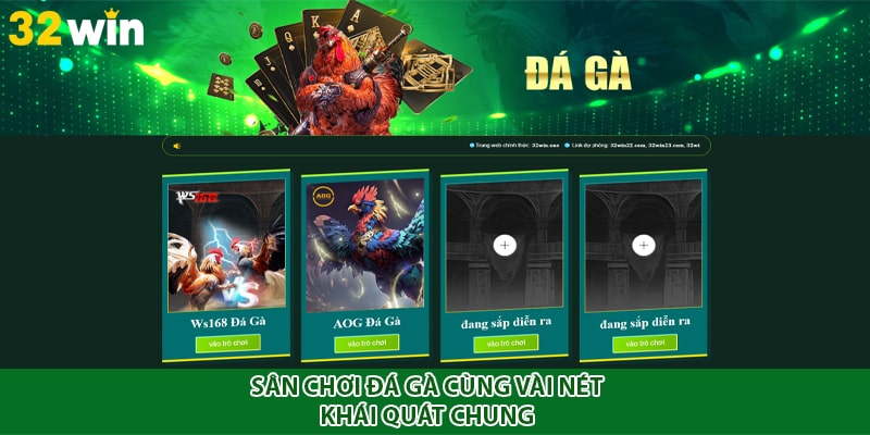 Sân chơi đá gà cùng vài nét khái quát chung